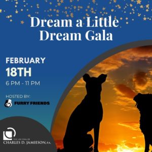 Dream a Little Dream Gala February 18, 2023